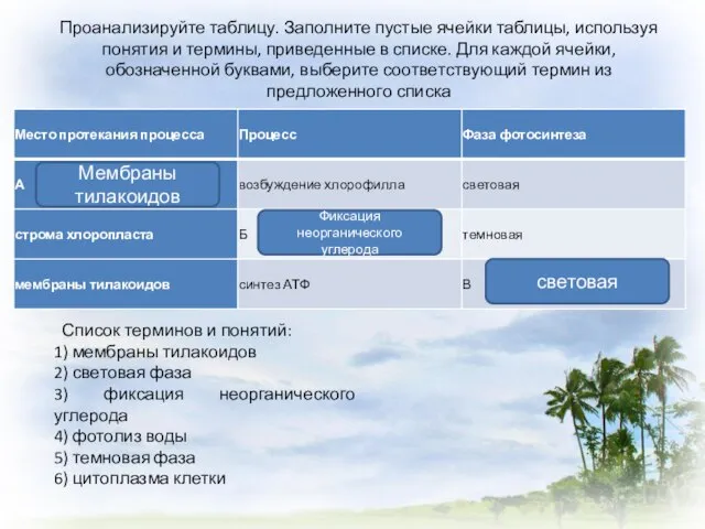 Список терминов и понятий: 1) мембраны тилакоидов 2) световая фаза 3) фиксация