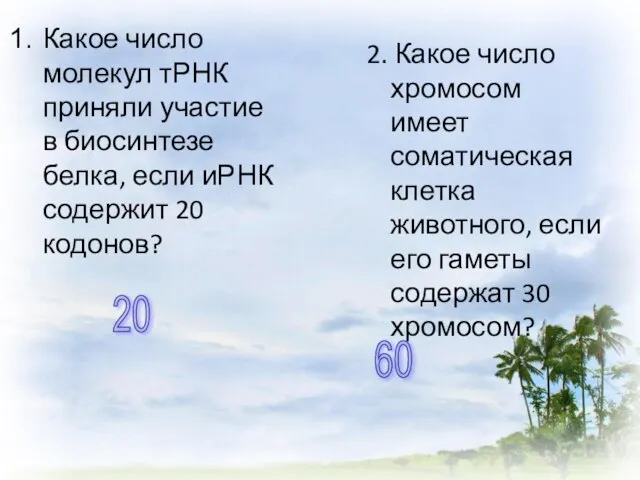 Какое число молекул тРНК приняли участие в биосинтезе белка, если иРНК содержит