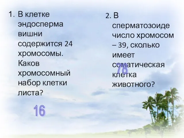 В клетке эндосперма вишни содержится 24 хромосомы. Каков хромосомный набор клетки листа?