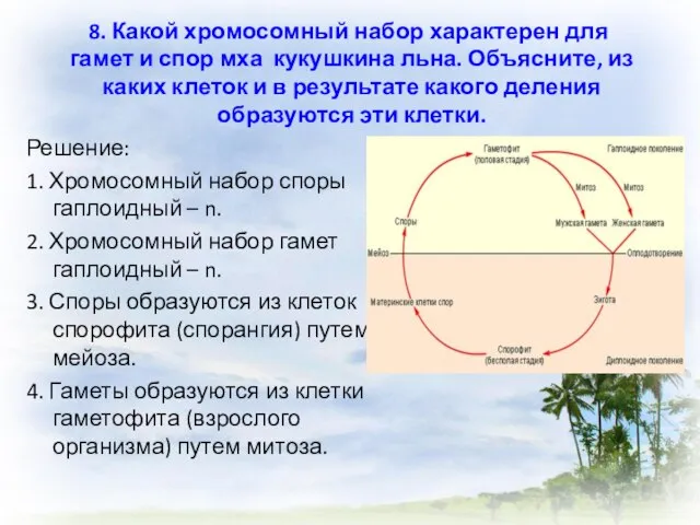 8. Какой хромосомный набор характерен для гамет и спор мха кукушкина льна.