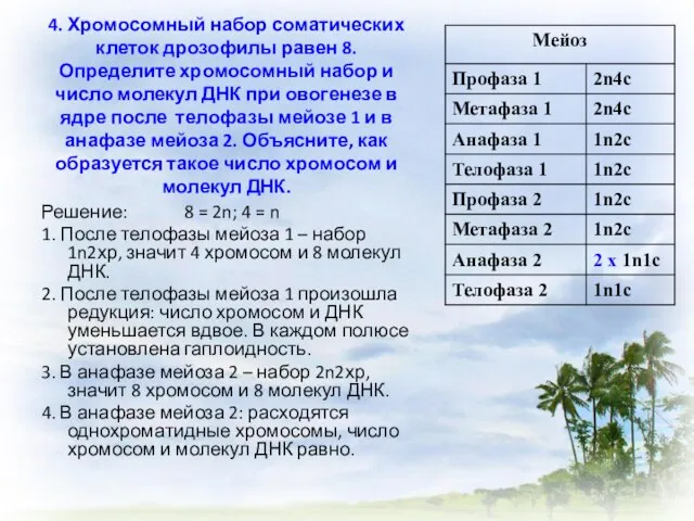 4. Хромосомный набор соматических клеток дрозофилы равен 8. Определите хромосомный набор и