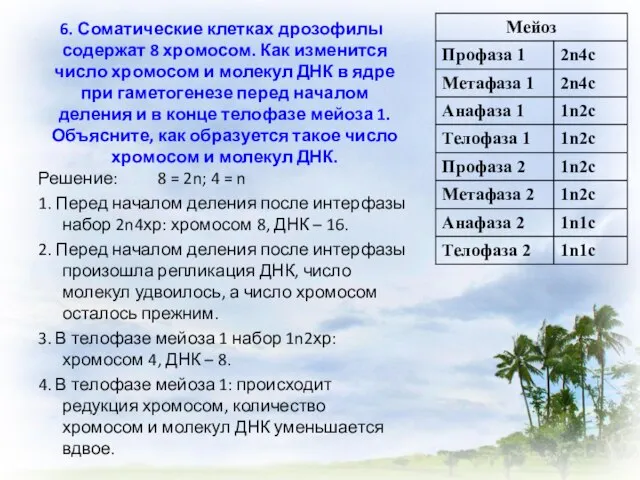 6. Соматические клетках дрозофилы содержат 8 хромосом. Как изменится число хромосом и