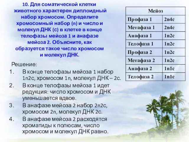 10. Для соматической клетки животного характерен диплоидный набор хромосом. Определите хромосомный набор