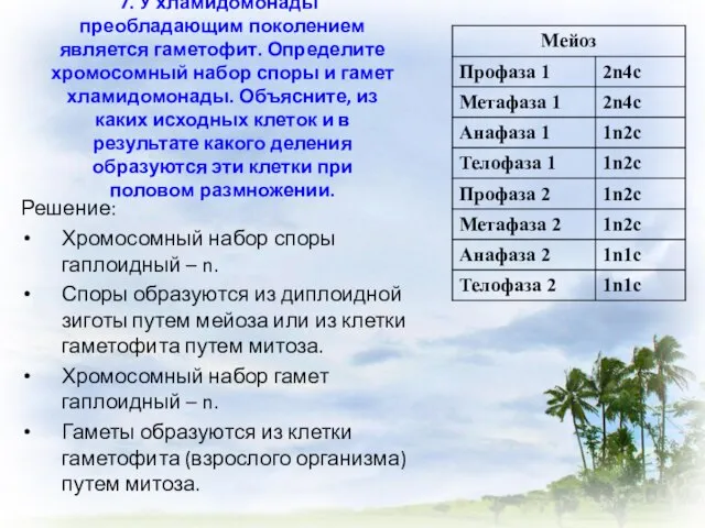 7. У хламидомонады преобладающим поколением является гаметофит. Определите хромосомный набор споры и