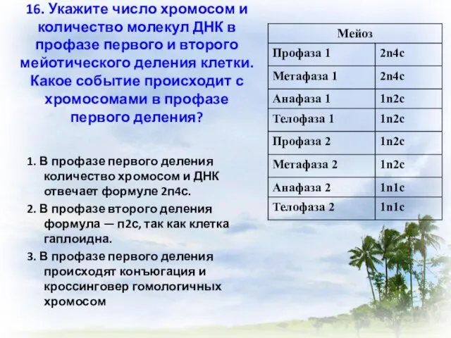 16. Укажите число хромосом и количество молекул ДНК в профазе первого и