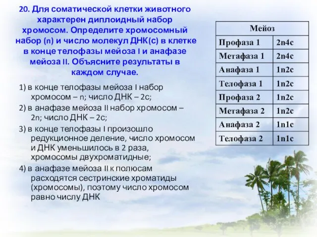 20. Для соматической клетки животного характерен диплоидный набор хромосом. Определите хромосомный набор