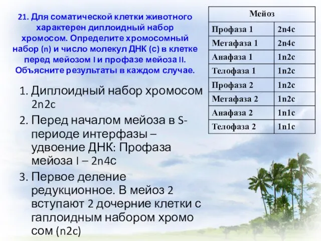 21. Для соматической клетки животного характерен диплоидный набор хромосом. Определите хромосомный набор