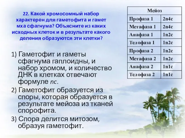 22. Какой хромосомный набор характерен для гаметофита и гамет мха сфагнума? Объясните