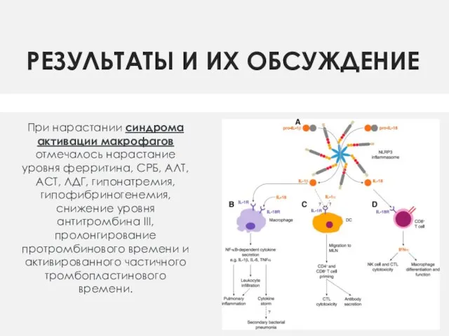 РЕЗУЛЬТАТЫ И ИХ ОБСУЖДЕНИЕ При нарастании синдрома активации макрофагов отмечалось нарастание уровня