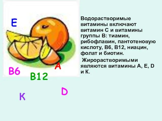 Водорастворимые витамины включают витамин С и витамины группы В: тиамин, рибофлавин, пантотеновую