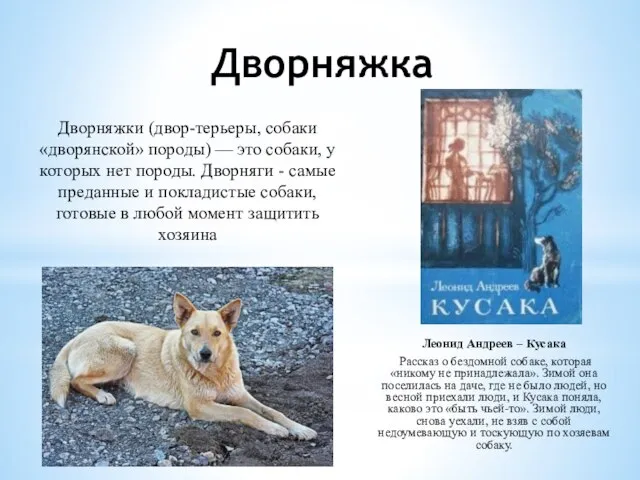 Дворняжка Леонид Андреев – Кусака Рассказ о бездомной собаке, которая «никому не