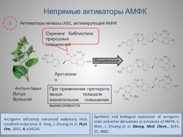 Непрямые активаторы АМФК Активаторы киназы LKB1, активирующей AMPK 3 Arctium lаppa Лопух