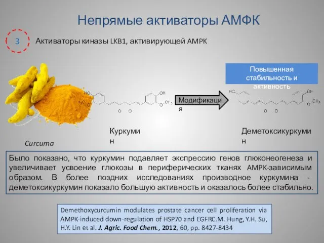 Непрямые активаторы АМФК Активаторы киназы LKB1, активирующей AMPK 3 Curcuma Модификация Было