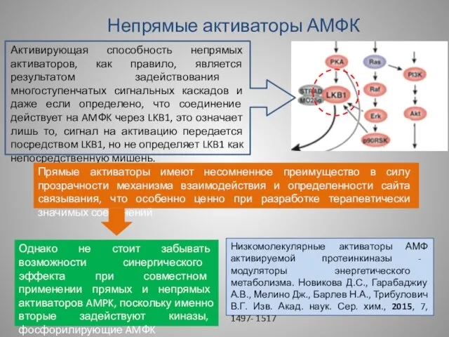 Непрямые активаторы АМФК Активирующая способность непрямых активаторов, как правило, является результатом задействования