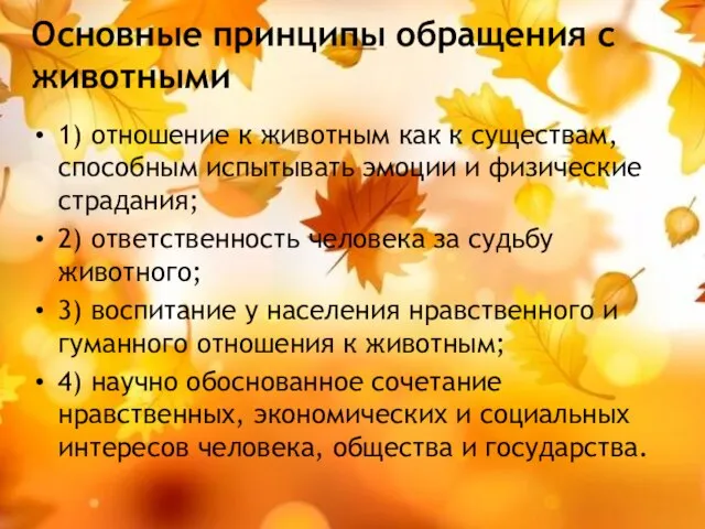 Основные принципы обращения с животными 1) отношение к животным как к существам,