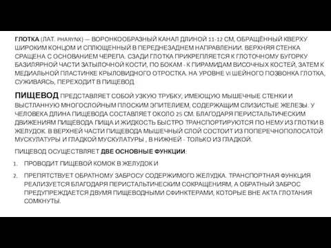 ГЛОТКА (ЛАТ. PHARYNX) — ВОРОНКООБРАЗНЫЙ КАНАЛ ДЛИНОЙ 11-12 СМ, ОБРАЩЁННЫЙ КВЕРХУ ШИРОКИМ