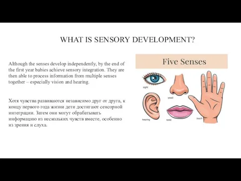 Although the senses develop independently, by the end of the first year