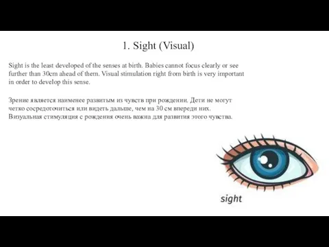 1. Sight (Visual) Sight is the least developed of the senses at