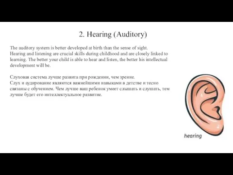 2. Hearing (Auditory) The auditory system is better developed at birth than