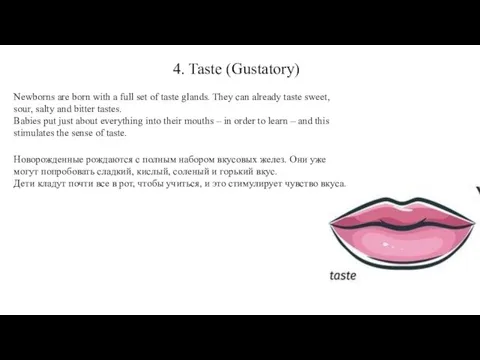 4. Taste (Gustatory) Newborns are born with a full set of taste