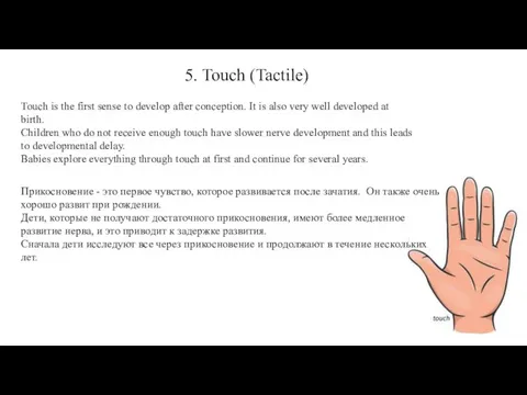 5. Touch (Tactile) Touch is the first sense to develop after conception.