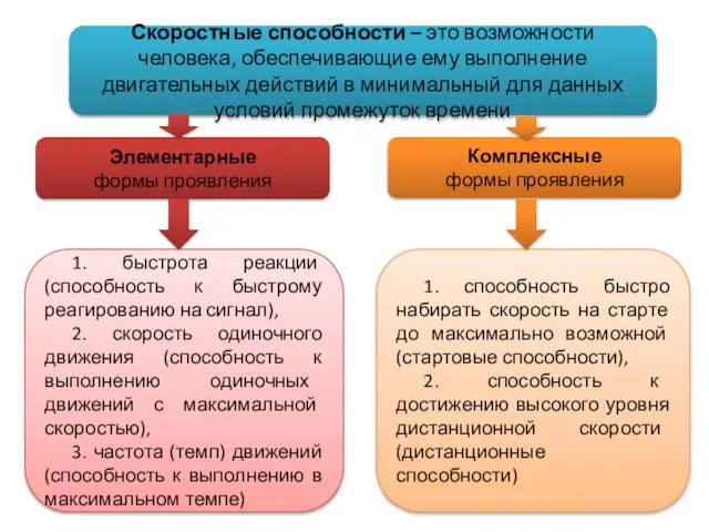 Скоростные способности – это возможности человека, обеспечивающие ему выполнение двигательных действий в