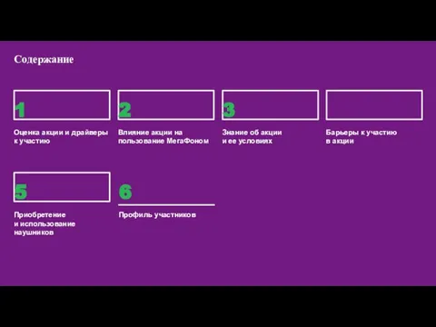 Содержание Оценка акции и драйверы к участию Влияние акции на пользование МегаФоном