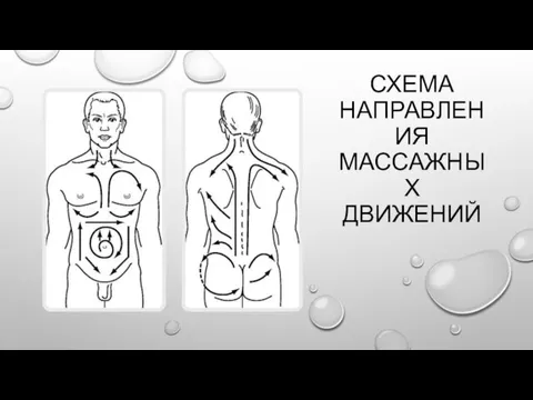 СХЕМА НАПРАВЛЕНИЯ МАССАЖНЫХ ДВИЖЕНИЙ