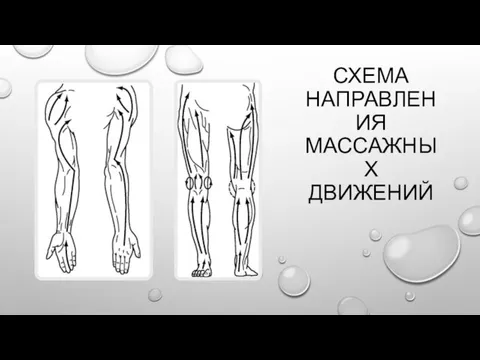 СХЕМА НАПРАВЛЕНИЯ МАССАЖНЫХ ДВИЖЕНИЙ