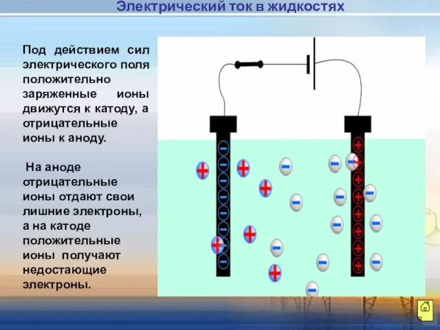 Под действием сил электрического поля положительно заряженные ионы движутся к катоду, а