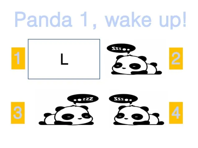 Panda 1, wake up! 2 3 1 4 L