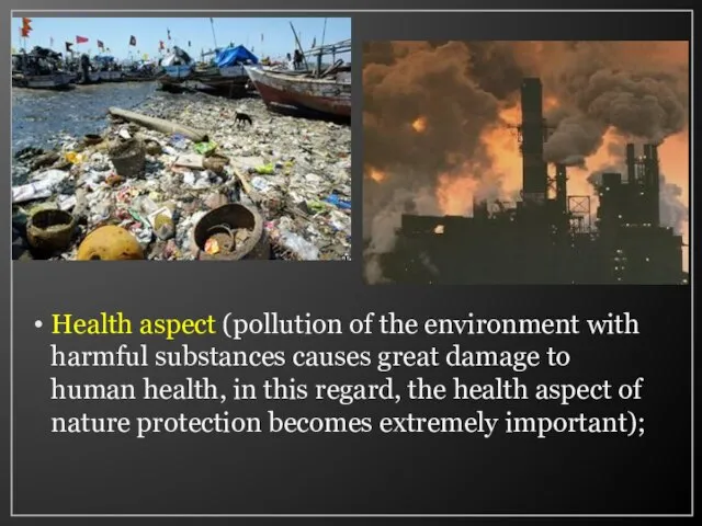 Health aspect (pollution of the environment with harmful substances causes great damage