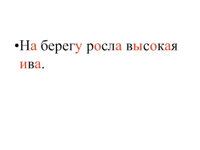 На берегу росла высокая ива.