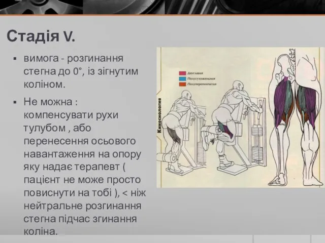 Стадія V. вимога - розгинання стегна до 0°, із зігнутим коліном. Не