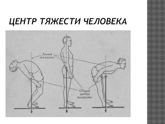 ЦЕНТР ТЯЖЕСТИ ЧЕЛОВЕКА