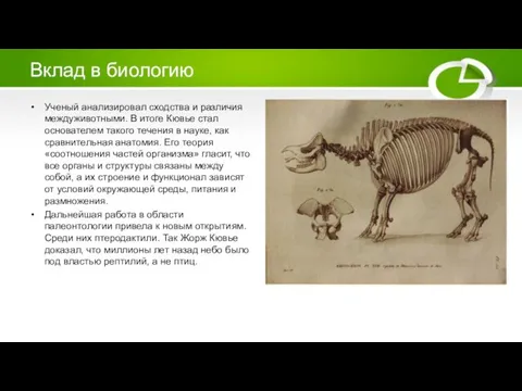 Вклад в биологию Ученый анализировал сходства и различия междуживотными. В итоге Кювье