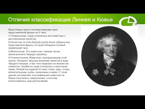 Отличия классификации Линнея и Кювье Жорж Кювье кратко систематизировал всех представителей фауны