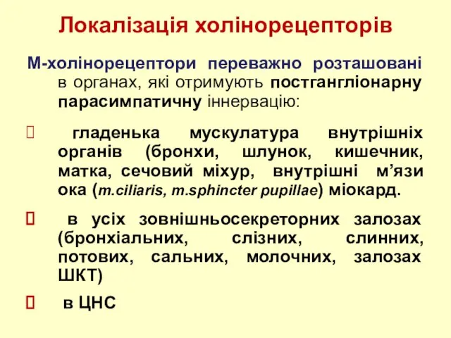 М-холінорецептори переважно розташовані в органах, які отримують постгангліонарну парасимпатичну іннервацію: гладенька мускулатура