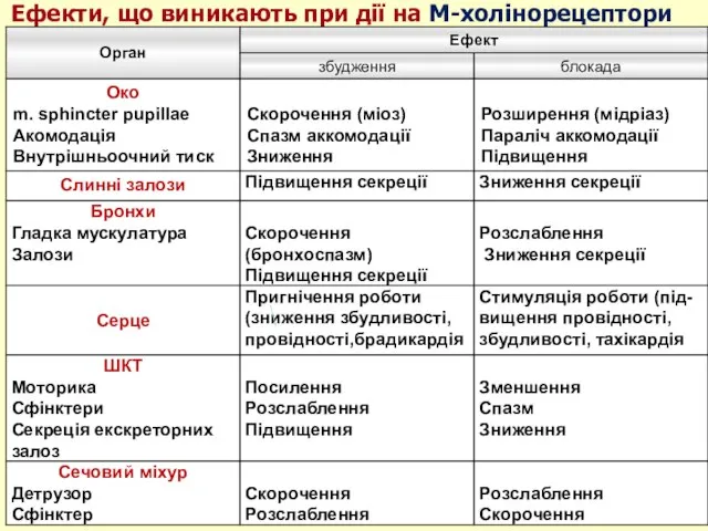 Ефекти, що виникають при дії на М-холінорецептори