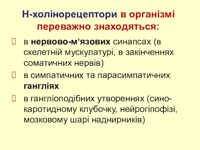 Н-холінорецептори в організмі переважно знаходяться: в нервово-м‘язових синапсах (в скелетній мускулатурі, в