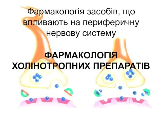 Фармакологія засобів, що впливають на периферичну нервову систему ФАРМАКОЛОГІЯ ХОЛІНОТРОПНИХ ПРЕПАРАТІВ