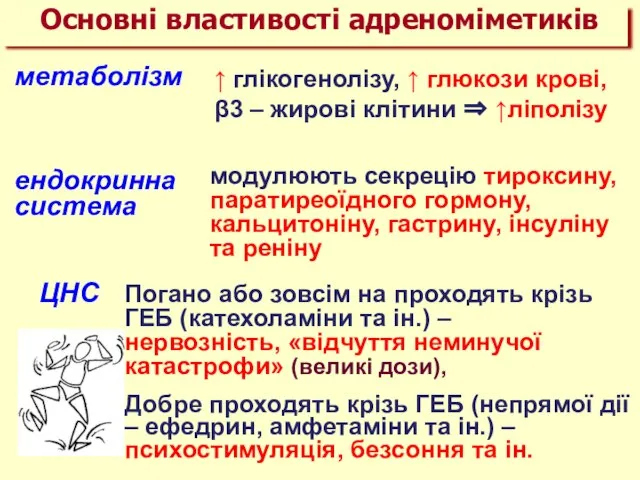 метаболізм ↑ глікогенолізу, ↑ глюкози крові, β3 – жирові клітини ⇒ ↑ліполізу