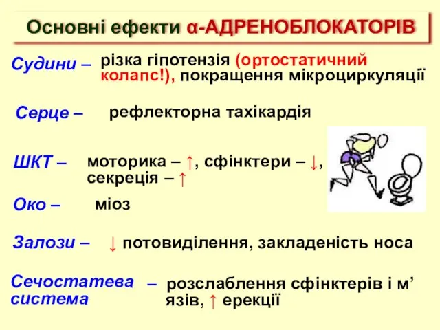 Око – міоз рефлекторна тахікардія Судини – різка гіпотензія (ортостатичний колапс!), покращення