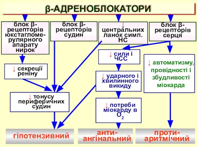 блок β-рецепторів судин ↓ тонусу периферичних судин блок β-рецепторів юкстагломе-рулярного апарату нирок