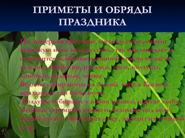 ПРИМЕТЫ И ОБРЯДЫ ПРАЗДНИКА По поверьям крестьян, в купальскую, самую короткую ночь