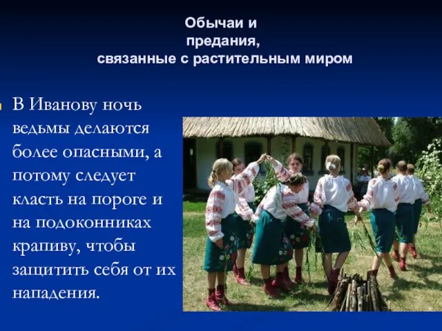 Обычаи и предания, связанные с растительным миром В Иванову ночь ведьмы делаются