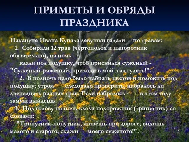 ПРИМЕТЫ И ОБРЯДЫ ПРАЗДНИКА Накануне Ивана Купала девушки гадали по травам: 1.