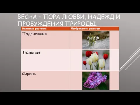 ВЕСНА – ПОРА ЛЮБВИ, НАДЕЖД И ПРОБУЖДЕНИЯ ПРИРОДЫ.