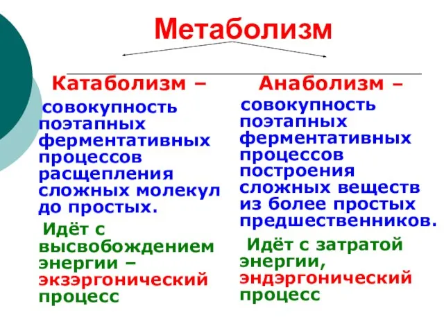 Метаболизм Катаболизм – совокупность поэтапных ферментативных процессов расщепления сложных молекул до простых.