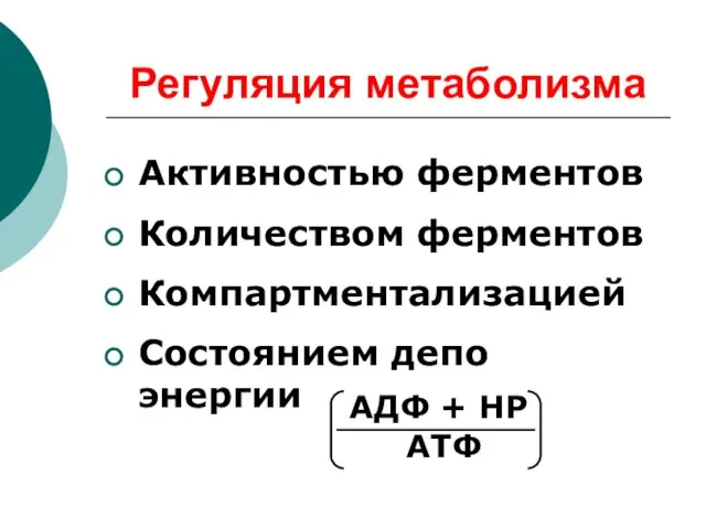 Регуляция метаболизма Активностью ферментов Количеством ферментов Компартментализацией Состоянием депо энергии АДФ + НР АТФ